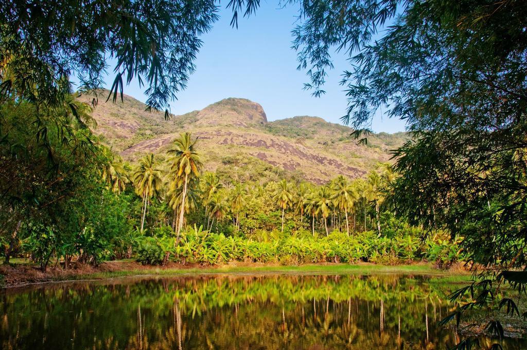 Вілла Raintree Дамбулла Екстер'єр фото